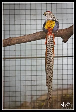 flights to malabon|$131 Flights to Malabon, Philippines .